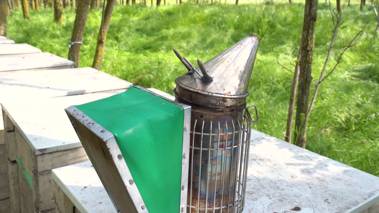 Bee smoker on hive box in green forest, used to calm bees during honey collection