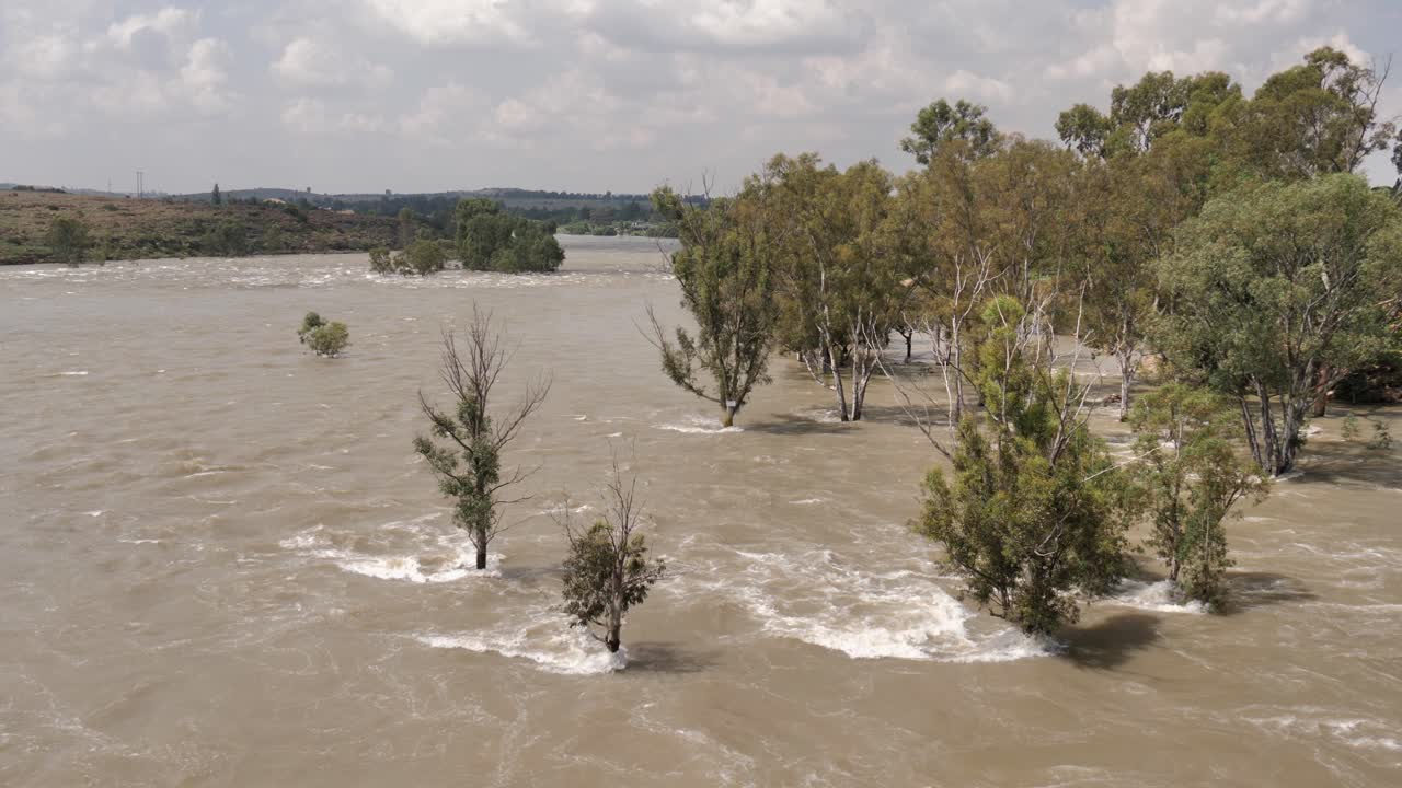 Wide, high angle view of muddy river flooding into shoreline forest