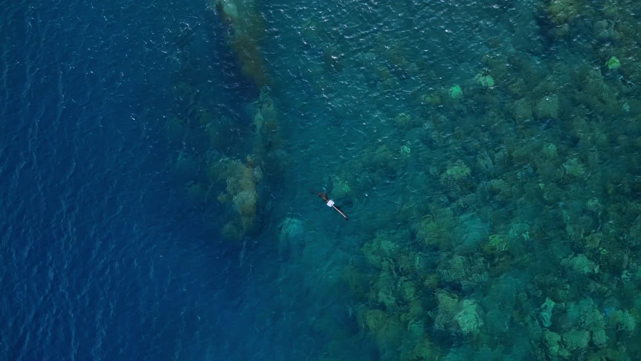 Sorvolo con drone che mostra snorkelisti che nuotano sopra un relitto