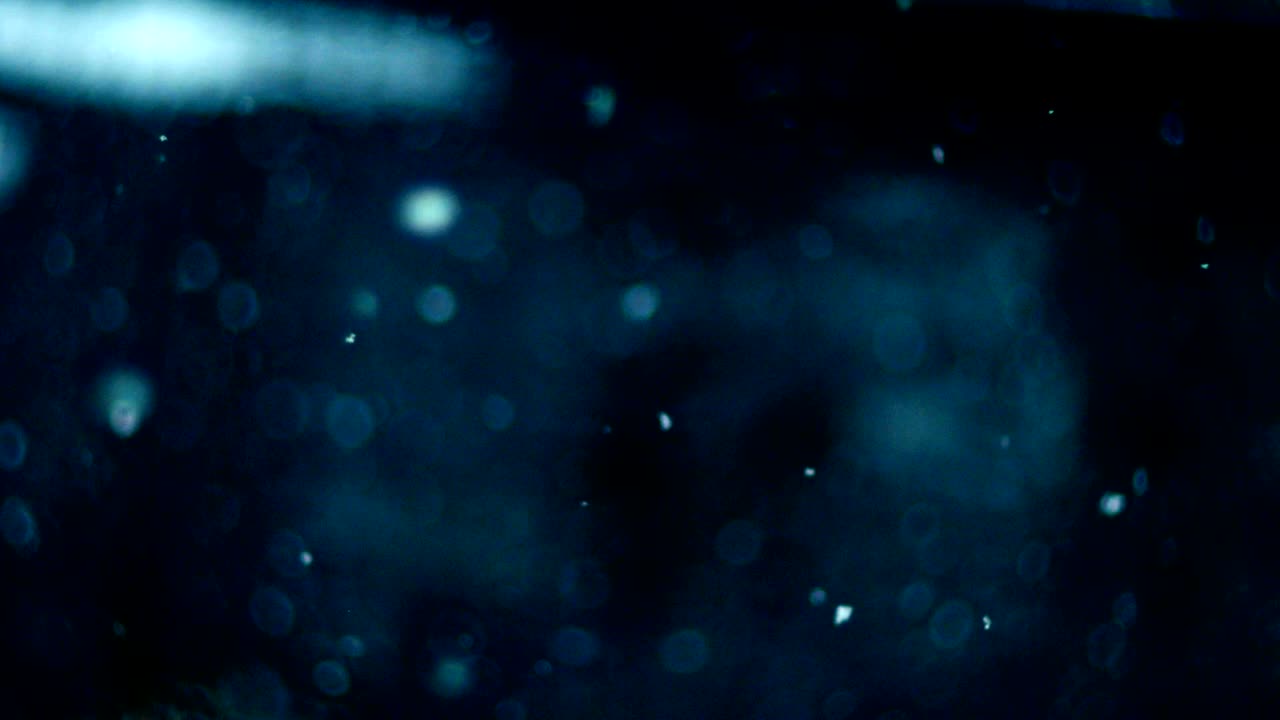 la nieve cayendo suavemente bucle de fondo de video. la nieve cae lentamente en el fondo de la noche