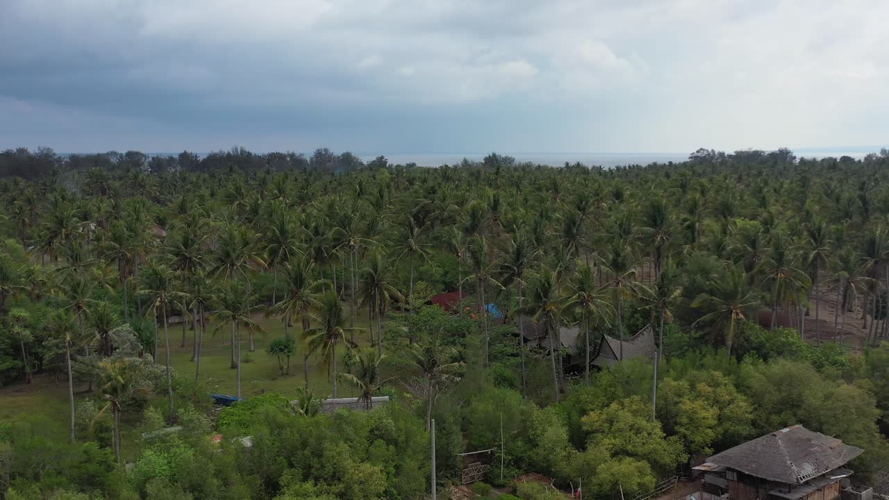 Pemandangan udara ladang pohon kelapa tinggi di Pulau Gili Meno tropis di Bali, Indonesia.