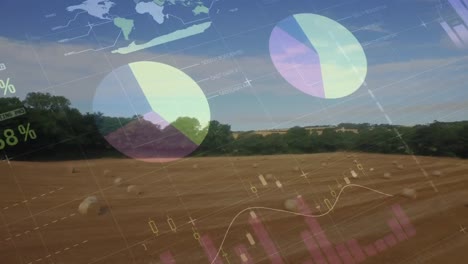 animación de las estadísticas y el procesamiento de datos financieros en el ámbito de la agricultura
