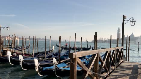 gondolas docked and bobbling in the water near the st