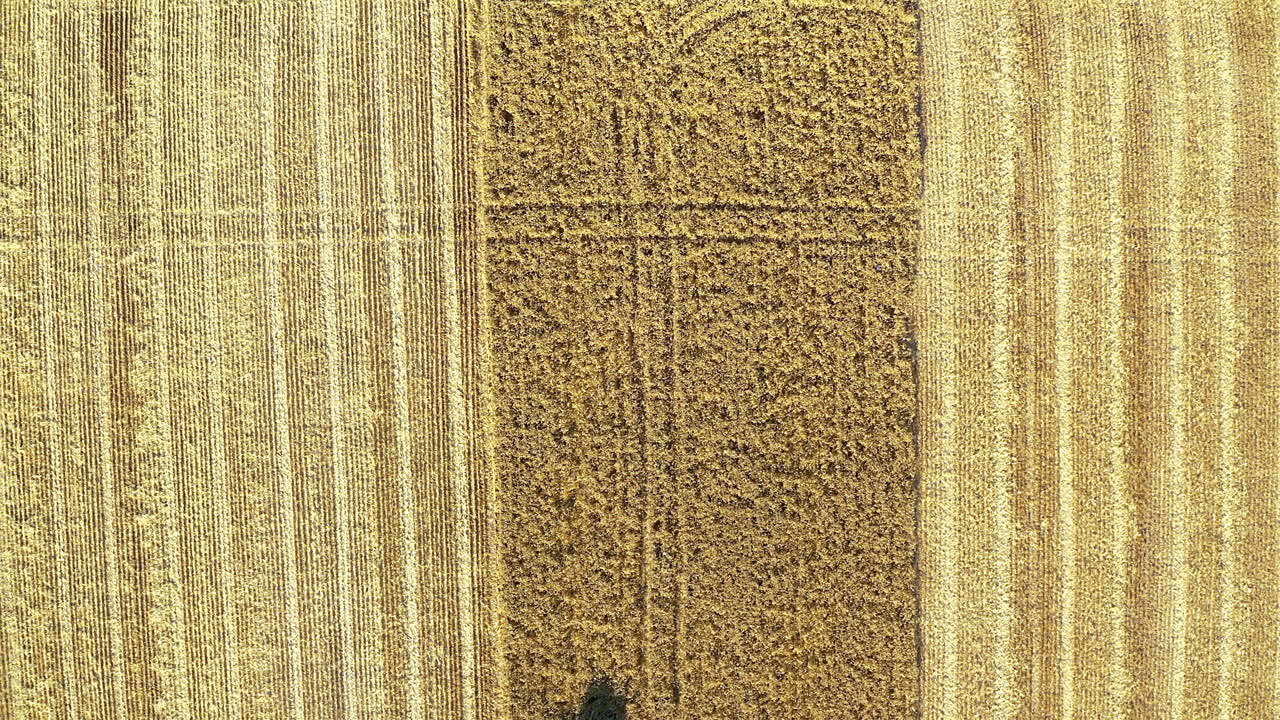 수확의 계절이 왔습니다.