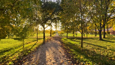 filming with the sun in front of you at a golden hour sunset in a wooded area in the prince's gardens, there are 2 paths that form a cross and the ground is green and the shadows lengthen