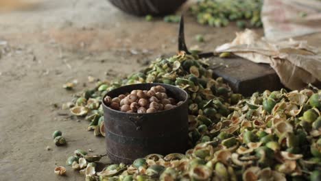 nueces de areca peladas rodeadas de conchas, de cerca