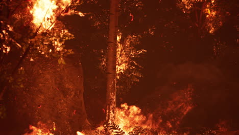 grandes llamas de incendios forestales por la noche