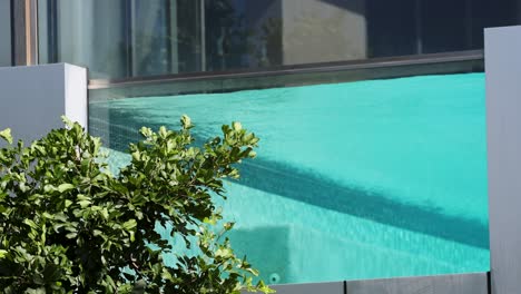 leaves sway gently near a tranquil pool