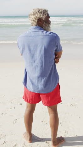 vertical video of back view of senior african american man on beach