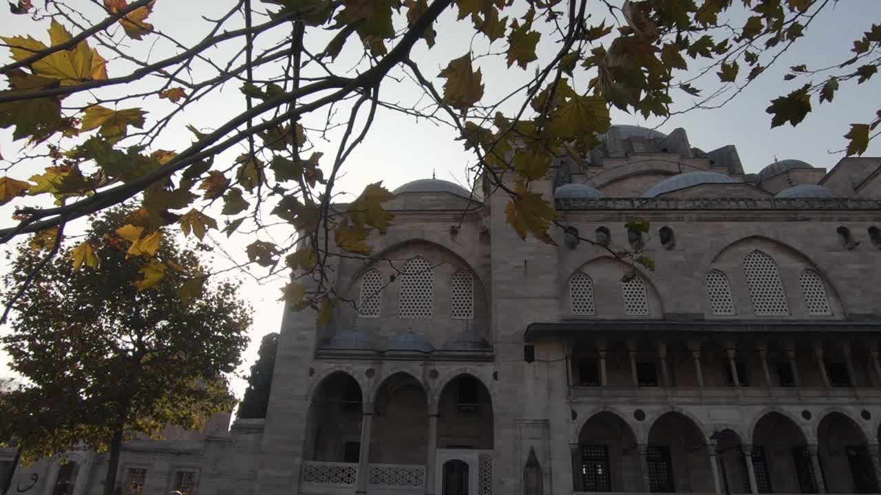 panorámica de hojas de árboles balanceándose en el viento hacia la histórica mezquita de suleymaniye, estambul