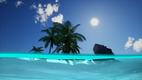 vista dividida de la sección transversal de agua de mar y palmeras en la isla