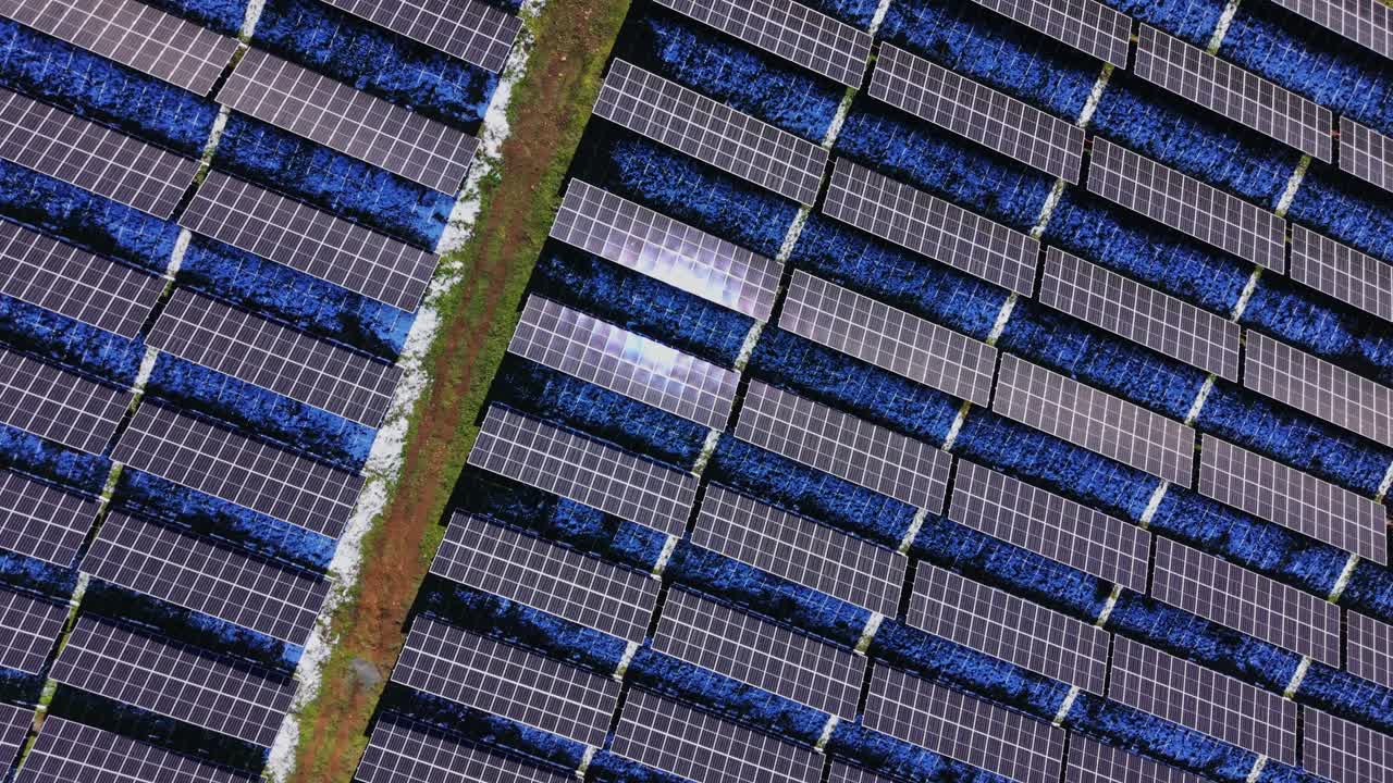Pannelli solari coprono il terreno in un progetto di energia rinnovabile sotto la luce solare intensa.