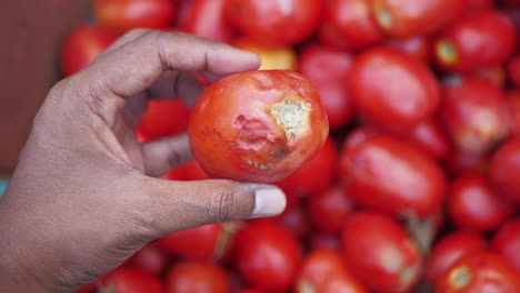 hand holding a tomato at a market