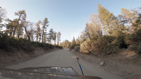 conduciendo por una carretera vacía, pasando por un bosque mixto
