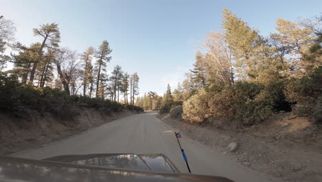 driving on an empty road, passing through a mixed forest