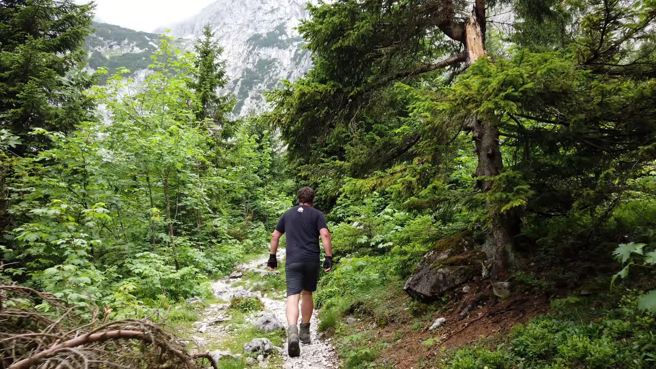 siguiendo a un excursionista con camisa negra caminando por un sendero de montaña alpino alemán con árboles y hierba y un pico alto cubierto de nubes y niebla