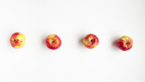 animación de movimiento de parada plana vista superior de las manzanas rojas de otoño