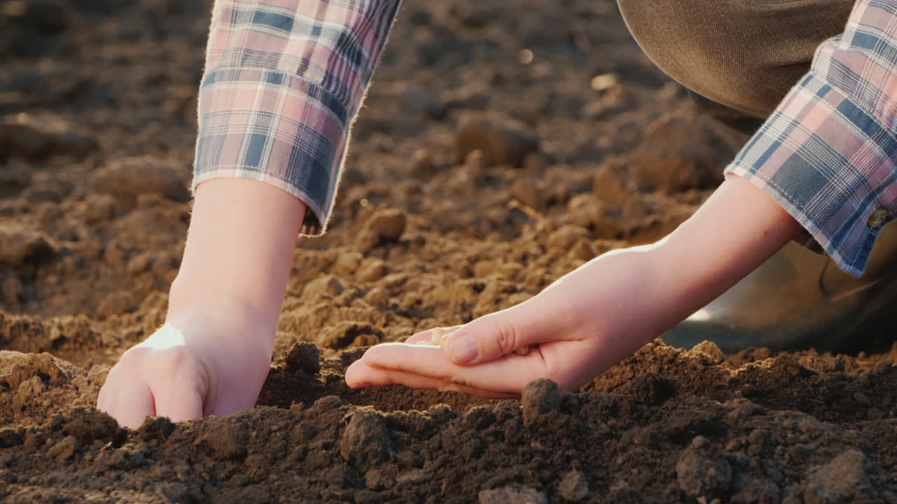 un granjero planta grano en su trabajo de campo en el jardín