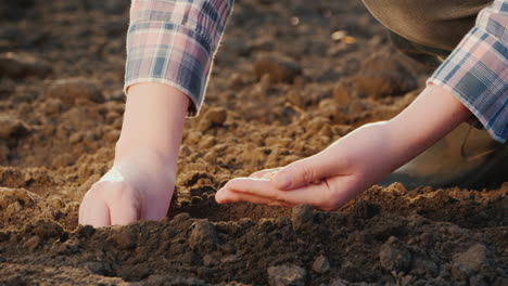 um fazendeiro planta grãos em seu trabalho de campo no jardim