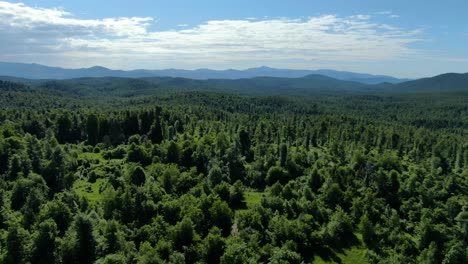 climbing to altitude over a mixed type forest