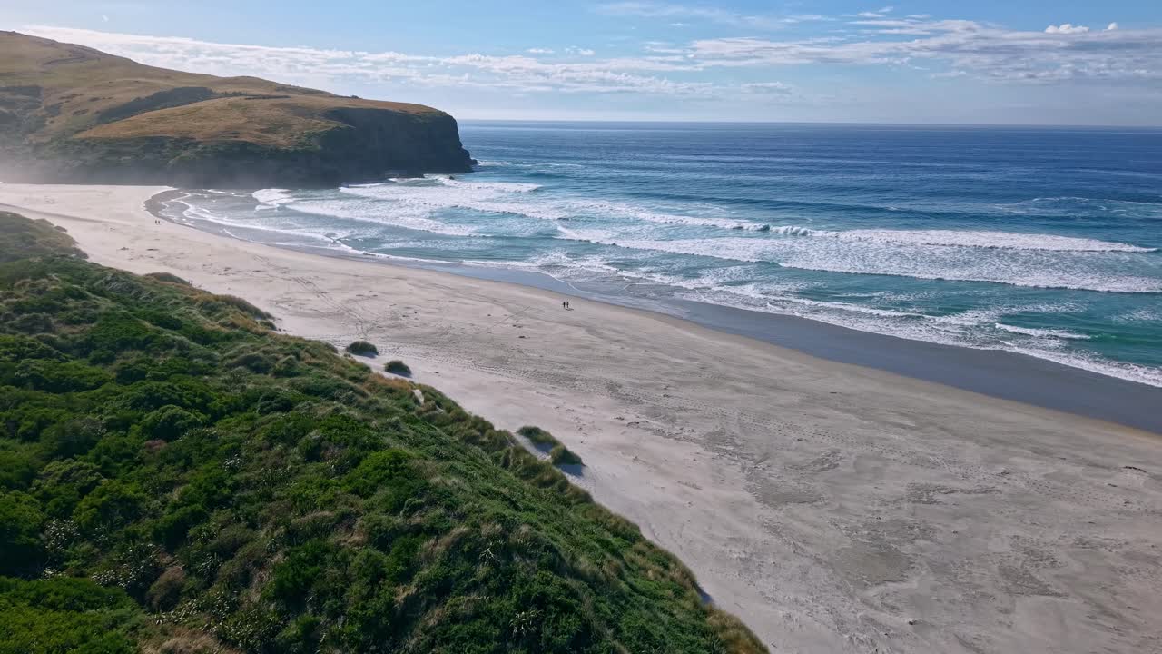 Drone shot moving forward towards Smaills Beach in Dunedin, New Zealand, showing green dunes, white sand, and waves rolling under a clear blue sky