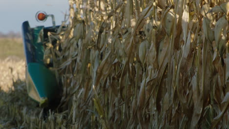 combine harvester, sunny day, slow motion