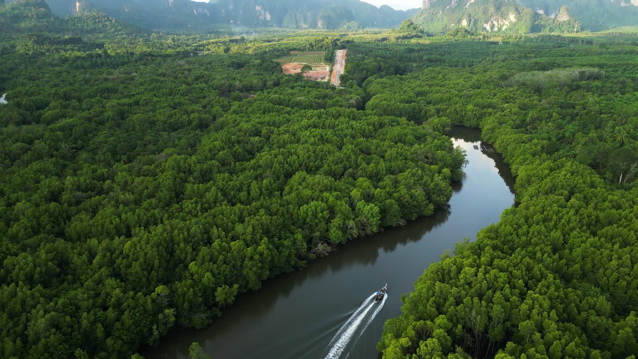 태국 남부 의 망그로브 숲 사이 의 강 에서 항해 하는 긴  ⁇ 리 스피드 보트 를 보여 주는 공중  ⁇ 트 업  ⁇
