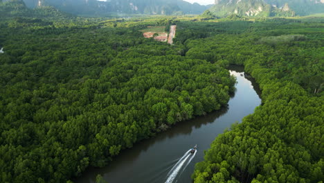 Toma-Aérea-Inclinada-Hacia-Arriba-Que-Muestra-Una-Lancha-Motora-De-Cola-Larga-Navegando-Por-El-Río-Entre-Bosques-De-Manglares-En-El-Sur-De-Tailandia