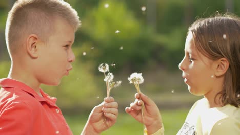 dos niños pequeños soplando cabezas de diente de león