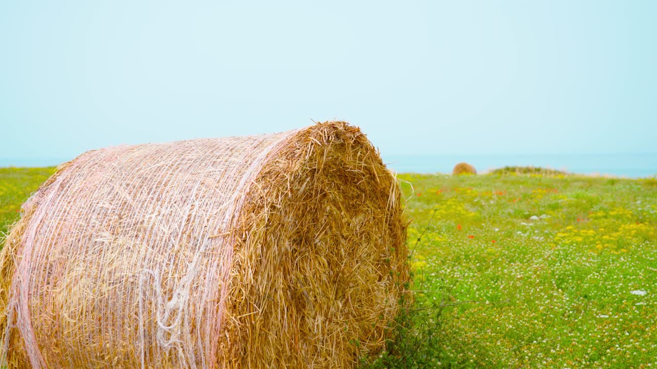 Round hay ball on green and blue sky