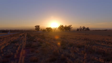 driving along a road in california's central valley near king city while watching a spectacular sunrise - passenger point of view