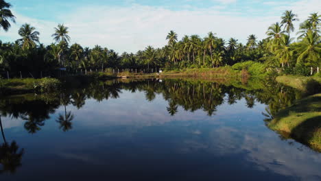 Increíble-Reflexión-Sobre-Una-Tranquila-Entrada-Entre-Palmeras-Verdes-En-Vietnam-En-Un-Soleado-Día-Parcialmente-Nublado