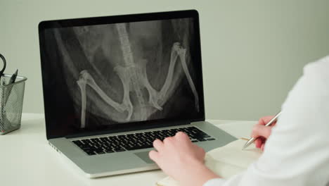 veterinary examination of animal