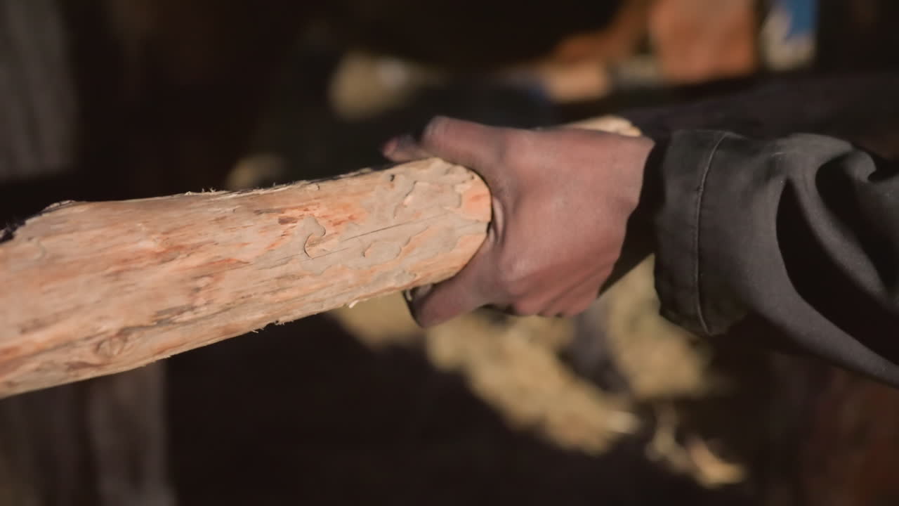 울타리를 위해 목재를 들고 있는 작업자, 황혼 무렵 소박한 나무 울타리를 건설하는 육체 노동, 농장 마당에서 울타리를 만들 때 튼튼한 나무 레일을 조심스럽게 다루는 개인