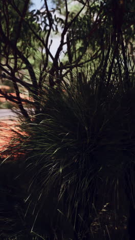 close up shot of tall green grass growing in a forest