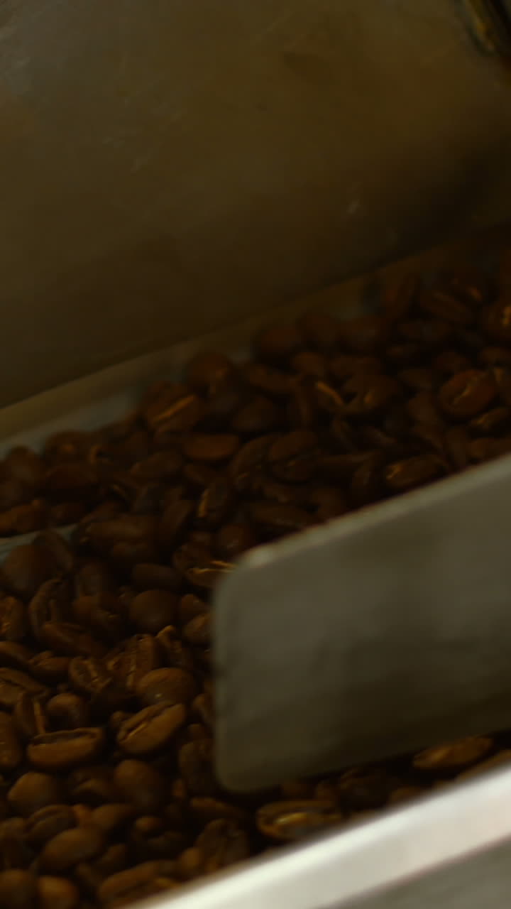 Man pouring coffee beans in weighing machine