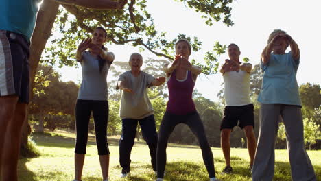 Fitnessgruppe-Trainiert-Im-Park