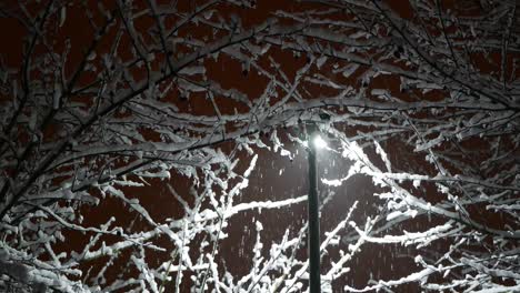 snow falls at night over trees in the light of street lamp