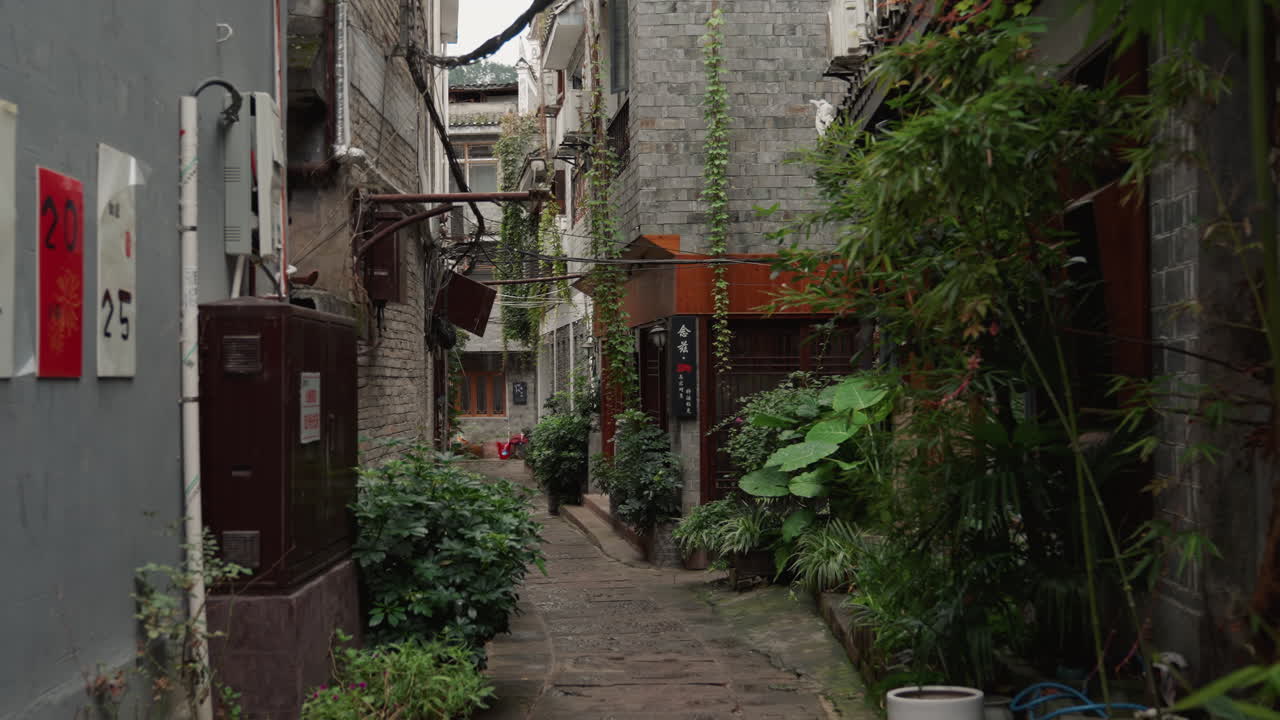 Narrow urban alley with plants, potted bamboo and vines climbing weathered brick walls, scattered utility boxes and wires, soft muted light casting shadows, quiet secluded passage ideal for street