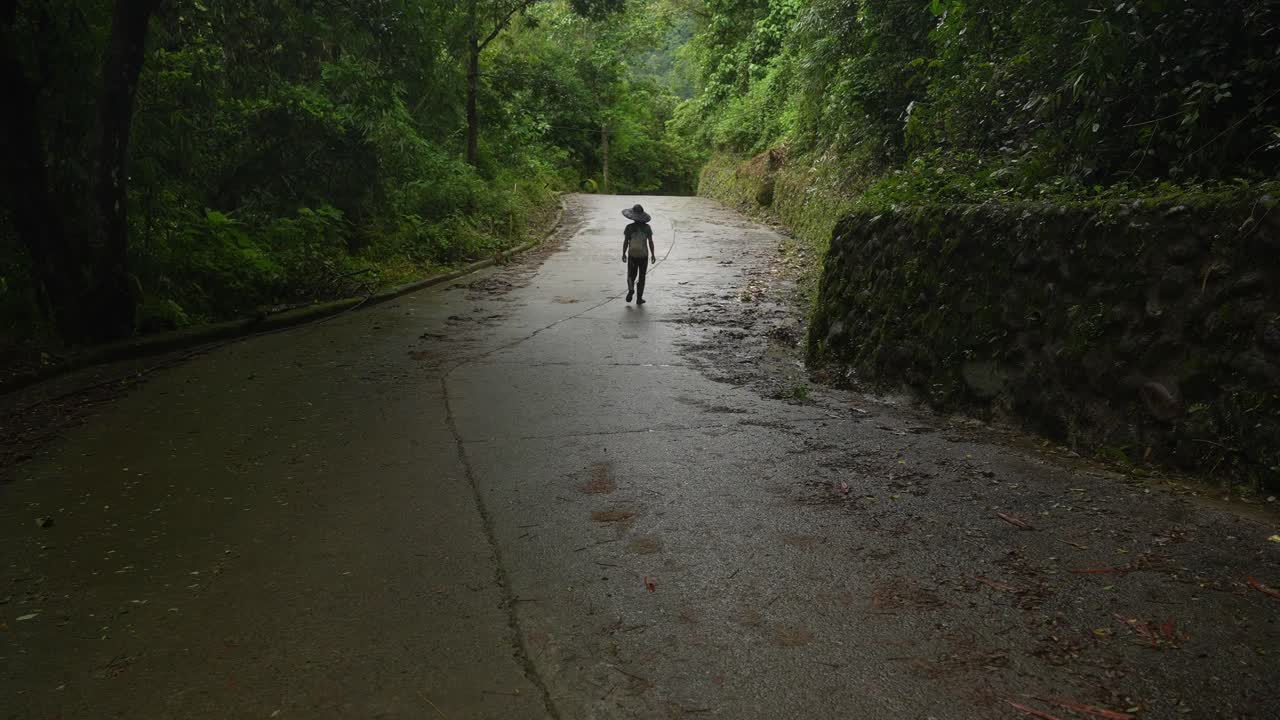 Shot from a roadside angle, a lone traveler in a dark hat hikes uphill on a slick winding road in the Philippine forest, framed by mossy walls and vibrant post-rain greenery