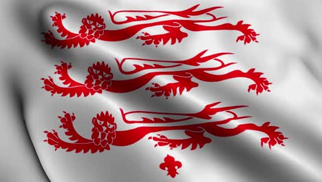 county flag of dorset