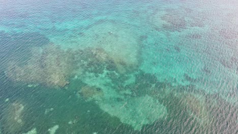 Static-aerial-of-stunning-coral-reef-ecosystem-on-the-diverse-coral-triangle-in-crystal-clear-ocean-waters-of-Southeast-Asia