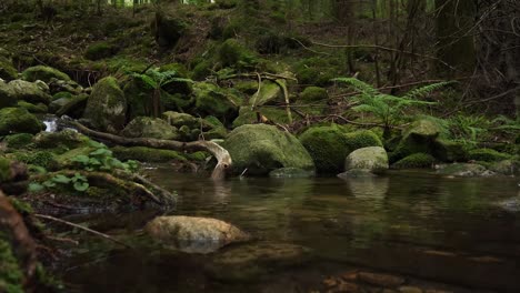 Natürlicher-Flusslauf-Auf-Einem-Gimbal-Aufgenommen