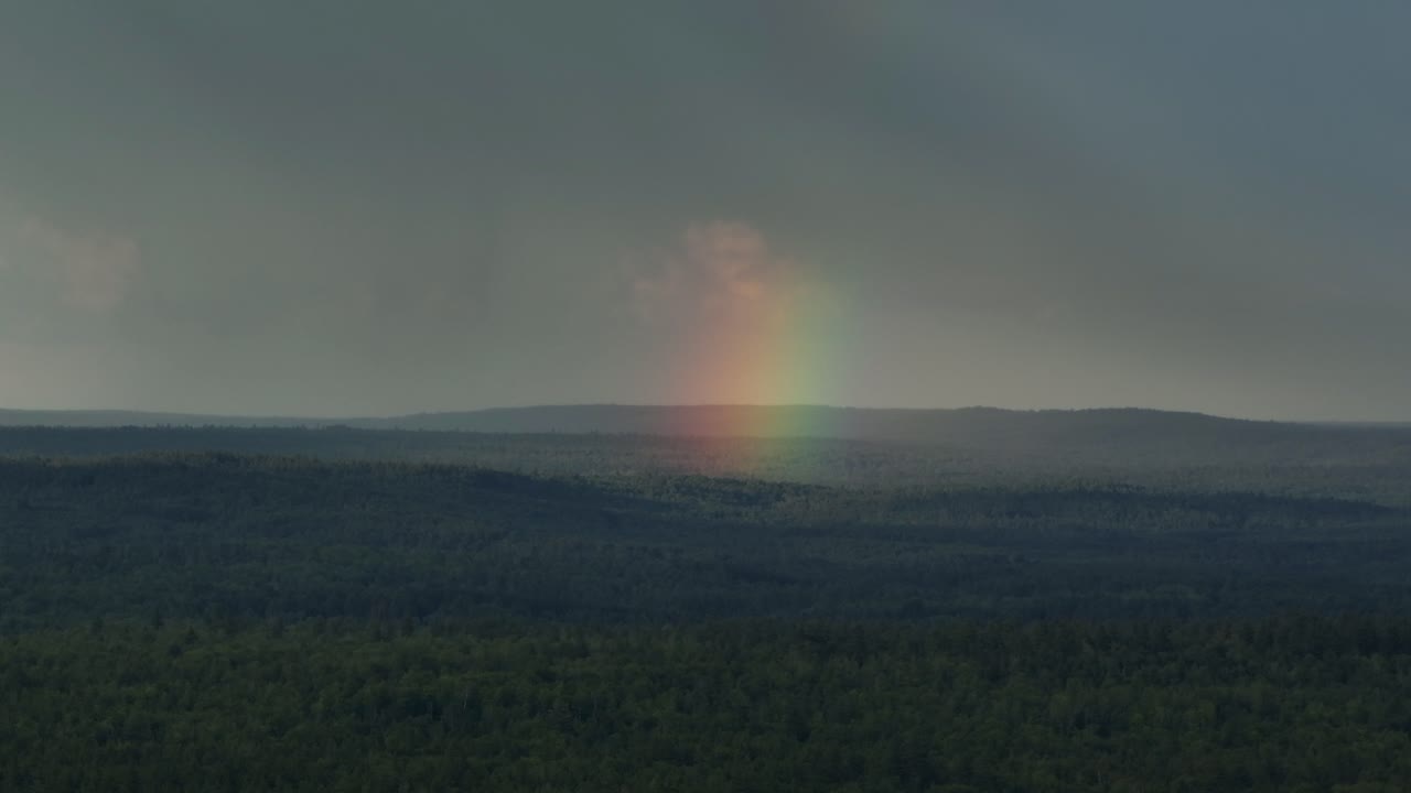 el arco iris vibrante brilla sobre el exuberante paisaje verde cubierto de bosques