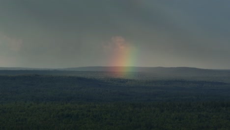 el arco iris vibrante brilla sobre el exuberante paisaje verde cubierto de bosques
