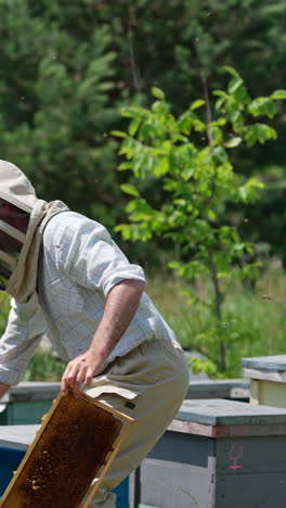 adult apiculturist working at his bee farm on sunny summer day. man takes a hive lid and closes it when bee stings him. green natural backdrop. vertical video