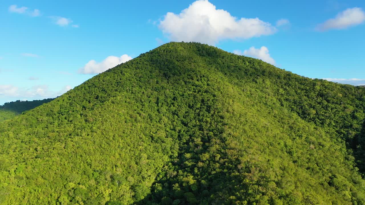 Drone glides across the lush, rolling forests of St. Croix, USVI, where palm trees, tropical hardwoods, and vibrant greenery blanket the island's rugged hills in brilliant sunlight
