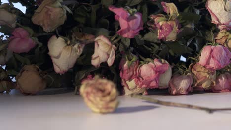 bouquet of withered pink rose flowers. dried roses on a table in dark room