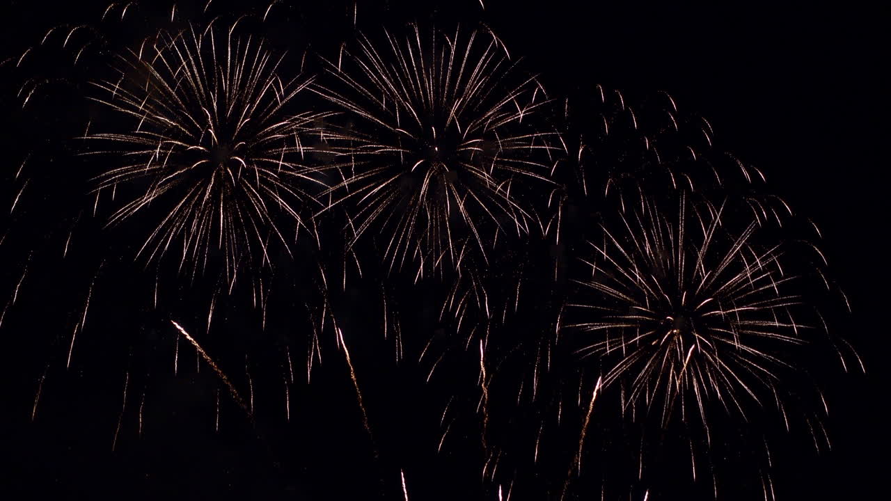 Multiple colorful fireworks fill the night sky