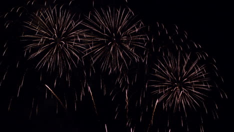 multiple colorful fireworks fill the night sky